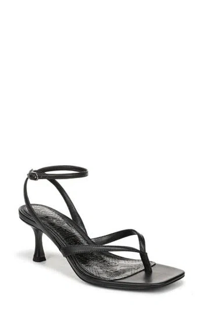 Sam Edelman Pax Ankle Strap Sandal In Black