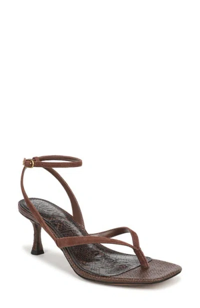 Sam Edelman Pax Ankle Strap Sandal In Brown