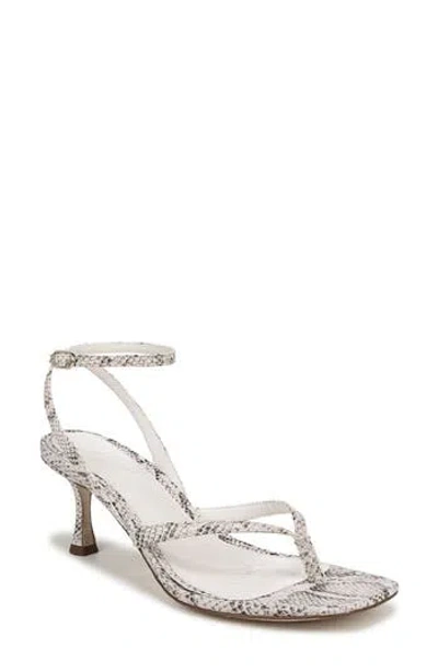 Sam Edelman Pax Ankle Strap Sandal In Ivory