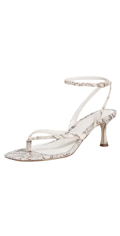 Sam Edelman Pax Heeled Thong Sandals Ivory In Multi