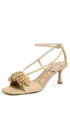 Sam Edelman Phoebe Ankle Strap Sandal In Bleached Beechwood