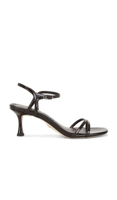 Sam Edelman Presley Sandal In Brown