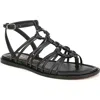 Sam Edelman Raye Gladiator Sandal In Black