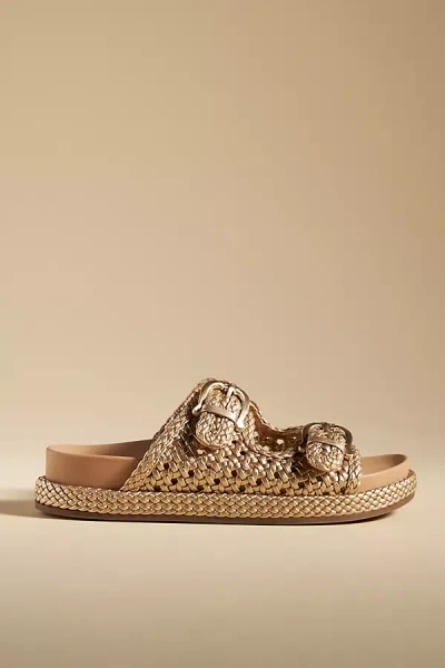 Sam Edelman Reid Sandals In Gold