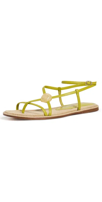 Sam Edelman Rillie Gladiator Sandals Green Limon In Yellow