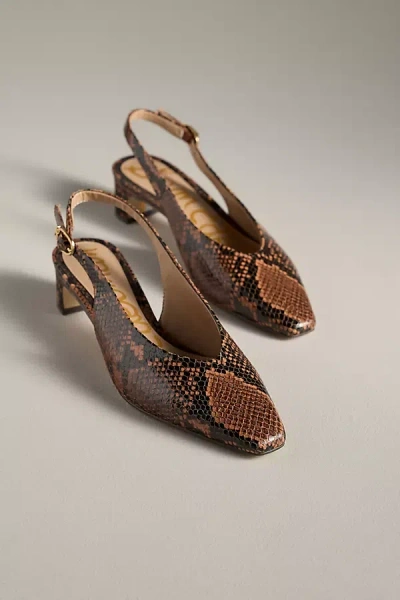 Sam Edelman Ronnie Slingback Block Heels In Brown