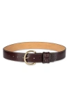 Sam Edelman Rounded Buckle Belt In Maple Bourban Croc