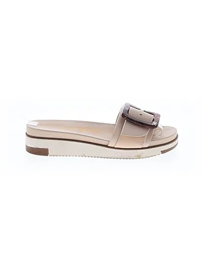 Pre-owned Sam Edelman Sandals In Brown