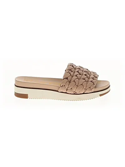Pre-owned Sam Edelman Sandals In Brown