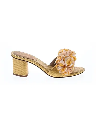 Pre-owned Sam Edelman Sandals In Orange