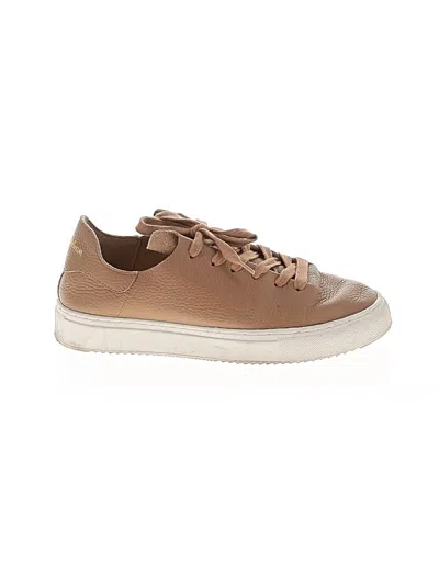 Pre-owned Sam Edelman Sneakers In Brown