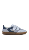 Sam Edelman Talia Sneaker In Multi