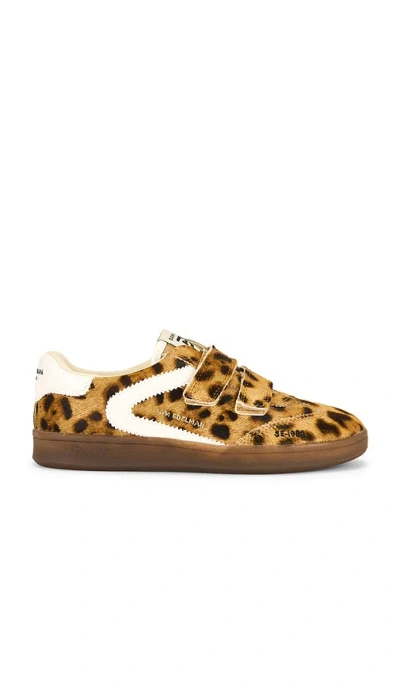 Sam Edelman Talia Sneaker In Animal Print
