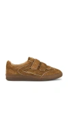 Sam Edelman Talia Sneaker In Brown