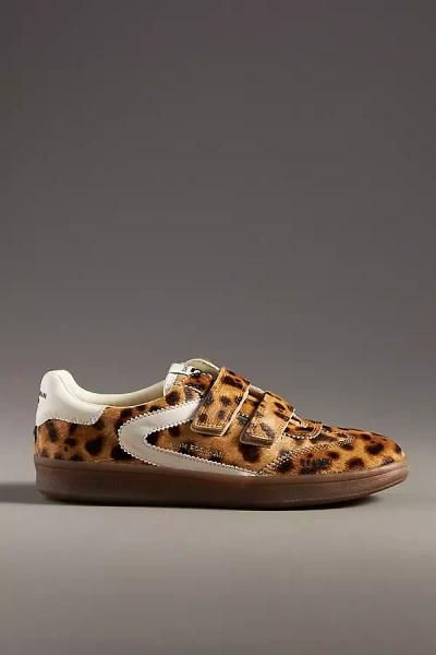 Sam Edelman Talia Velcro Sneaker Leopard Brahama Hair Leather In Brown
