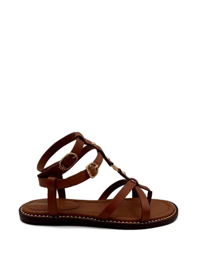 Sam Edelman 탈리아 스트래피 장식 샌들 In Brown