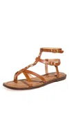 Sam Edelman Teeni Gladiator Sandal Cognac Brown Leather In Honey Brown
