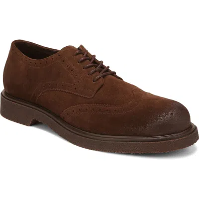 Sam Edelman Ted Wingtip Oxford In Brown