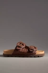 Sam Edelman Tiffanie Buckle Slide Sandals In Brown
