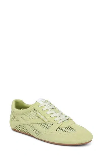 Sam Edelman Tobi Sneaker In Citro