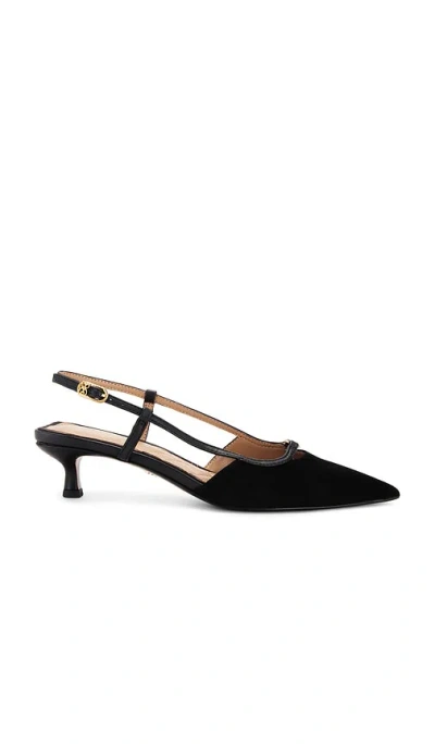 Sam Edelman Toni Sling Back In Black