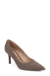 Sam Edelman Vienna Pointed Toe Pump In Brown
