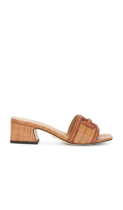 Sam Edelman Waylon Mule In Rich Cognac & Cuoio