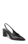 Sam Edelman Winfred Pointed Toe Slingback Sandal In Black