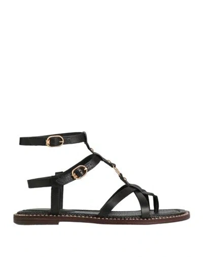 SAM EDELMAN SAM EDELMAN WOMAN THONG SANDAL BLACK SIZE 7 TEXTILE FIBERS