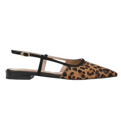 Sam Edelman Women's Cohen Pointed-toe Slide In Tan Leopard In Brown