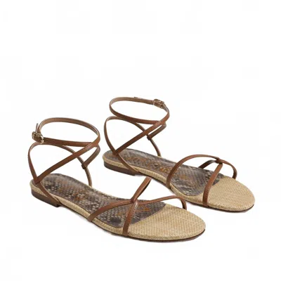 Sam Edelman Women's Ellina Sandal In Saddle Leather In Multi