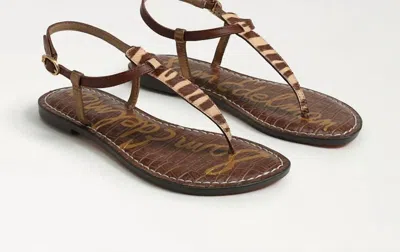 Sam Edelman Women's Gigi Thong Sandals In Beechwood Zebra In Brown
