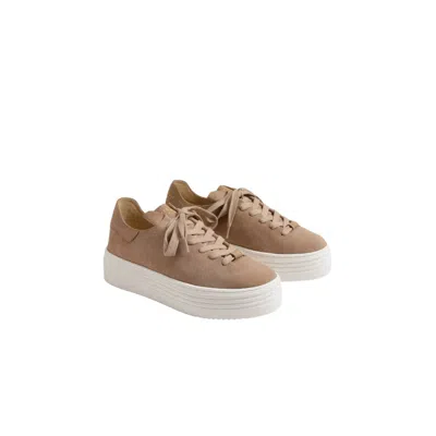 Sam Edelman Women's Pippy Platform Sneaker In Taupe In Brown