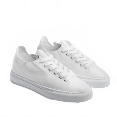 Sam Edelman Women Poppy Lace Up Sneaker In White Leather