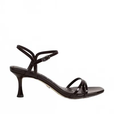 Sam Edelman Women's Presley Strappy Kitten Heels In Chocolate In Black