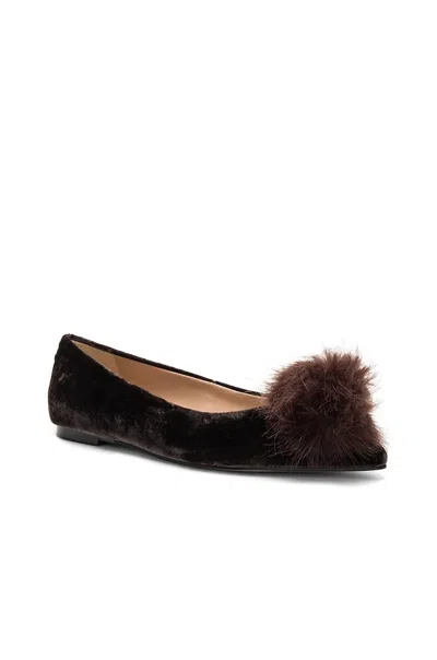 Sam Edelman Women's Raddie Velvet Flat With Pom In Dark Grey In Animal Print