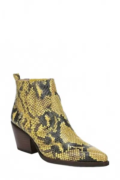 Sam Edelman Women's Snake Print Leather Ankle Boots In Yellow/black In Multi