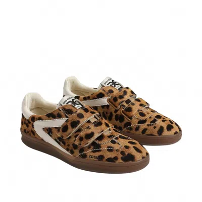 Sam Edelman Talia Velcro Sneaker Leopard Brahama Hair Leather In Brown