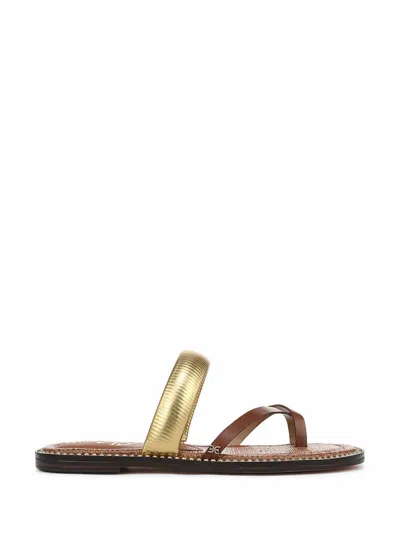Sam Edelman Women's Tillie Strappy Slide Sandals In Cognac In Brown
