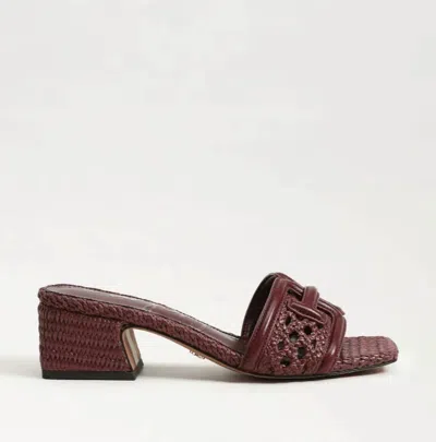 Sam Edelman Waylon Woven Sandal In Brown