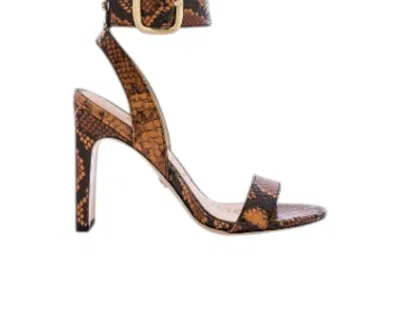 Sam Edelman Women's Yola Snake Print Leather Heels In Orange Snake Print Leather In Brown
