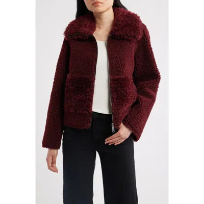 Sam Edelman Zip Front Faux Shearling Jacket In Burgundy