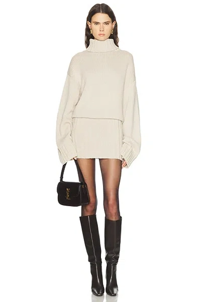 Same Knit Mini Dress In Brown