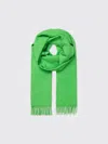 Samsoe & Samsoe Accola Maxi Scarf In Green