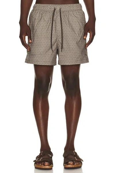 Samsoe & Samsoe Samse Samse Moses Swim Shorts In Burgundy