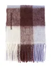 Samsoe & Samsoe Plaid Fringed Scarf In Multi