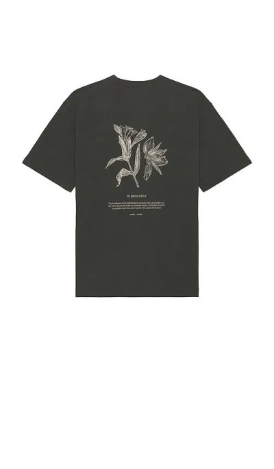 Samsoe & Samsoe Salilium T-shirt In Green