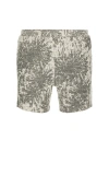 Samsoe & Samsoe Sajabari Shorts