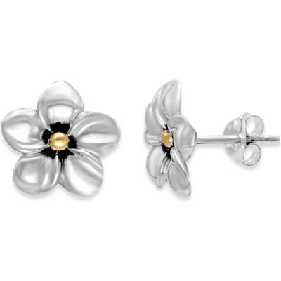 Samuel B. Frangipani Flower Stud Earrings In Silver And Gold