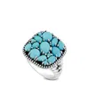 Samuel B. Silver Sleeping Beauty Turquoise Ring